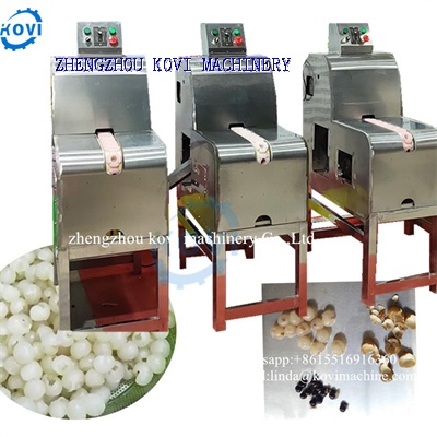 Automatic Longan Meat Peeler Machine Longan Peeler Skin Removing Machine with Pulp Core Separator