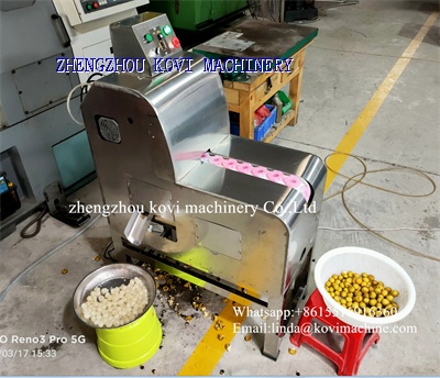 Automatic Longan Meat Peeler Machine Longan Peeler Skin Removing Machine with Pulp Core Separator
