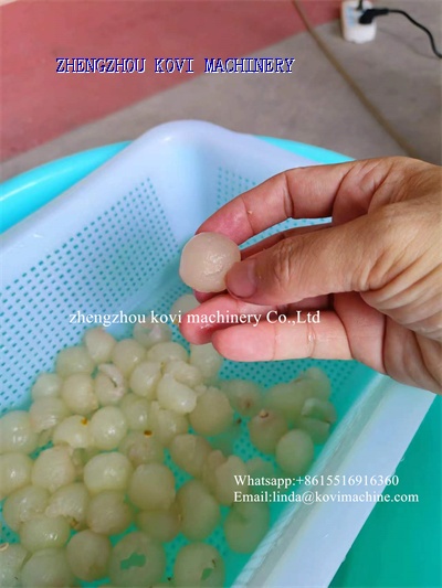 Automatic Longan Meat Peeler Machine Longan Peeler Skin Removing Machine with Pulp Core Separator