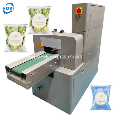 Automatic Plastic Bag Horizontal Pillow Wafer Double Sandwiching Cookies Packaging Flow Wrapper Biscuit Packing Machine
