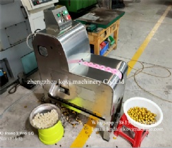 Automatic Longan Meat Peeler Machine Longan Peeler Skin Removing Machine with Pulp Core Separator
