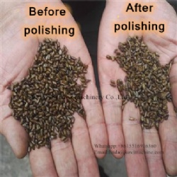 Top Sale Wheat Seed Cleaning Grain Polishing Machine Black Bean Grain Cereal Maize Polisher Polishing Machine